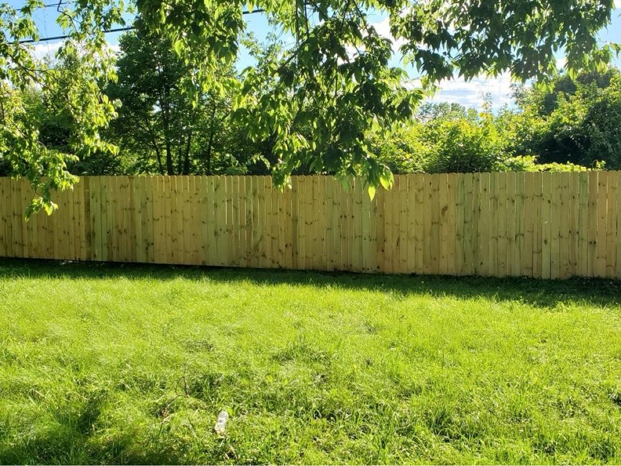 New pressure-treated wood privacy fence in a Dayton backyard
